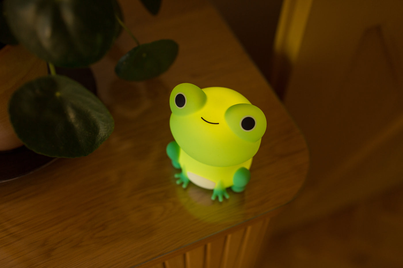 Mary's Frog Led Gece Lambası