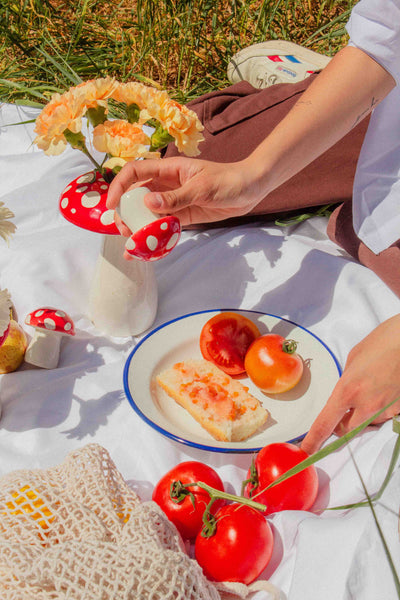 DOIY Amanita Mantar Tuzluk Biberlik