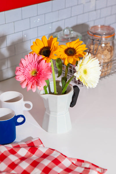 DOIY Good Morning Moka Pot Vazo