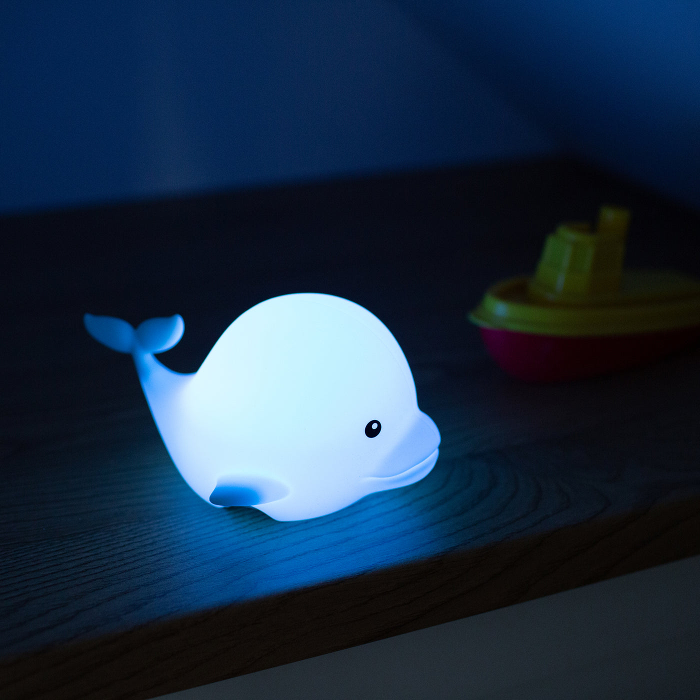 Mary's Dolphin RGB Led Gece Lambası