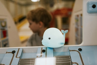 Mary's Dolphin RGB Led Gece Lambası