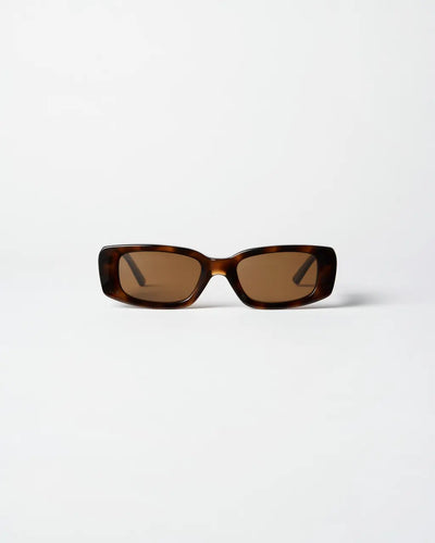 TORTOISE CHIMI SUN #10.02-CHIMI10.02